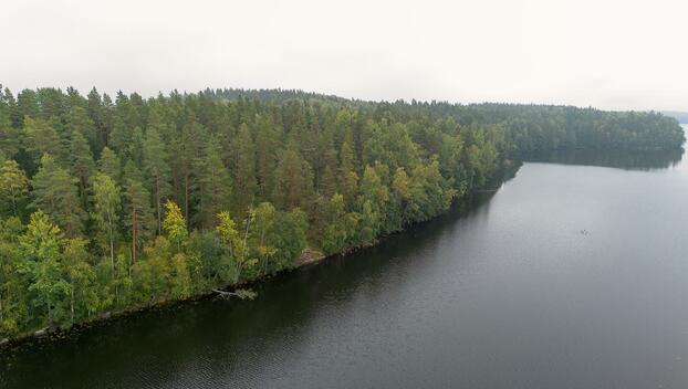 Kauhtueentie 755, Kirkkola, Hartola