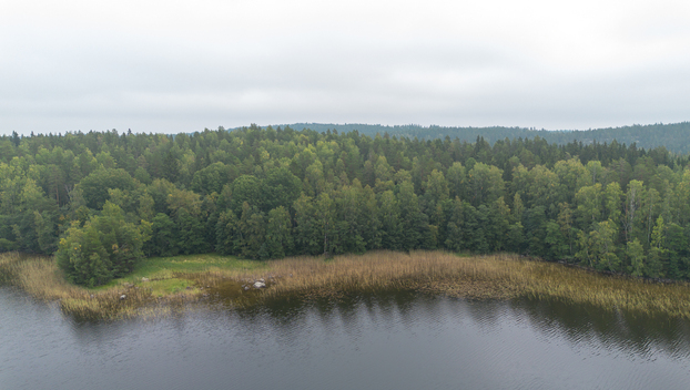 Tahvastensalo tontti, Kirkkola, Hartola