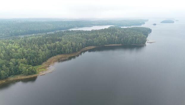 Tahvastensalo tontti, Kirkkola, Hartola