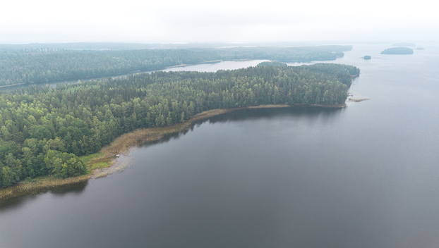 Tahvastensalo tontti, Kirkkola, Hartola