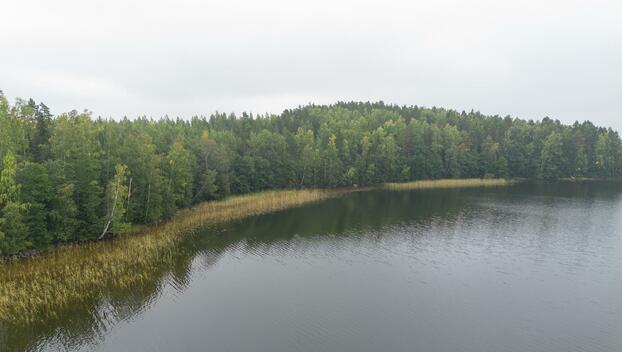 Tahvastensalo tontti, Kirkkola, Hartola