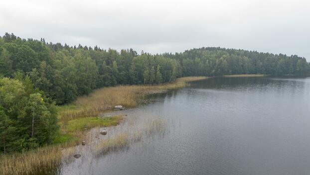 Tahvastensalo tontti, Kirkkola, Hartola
