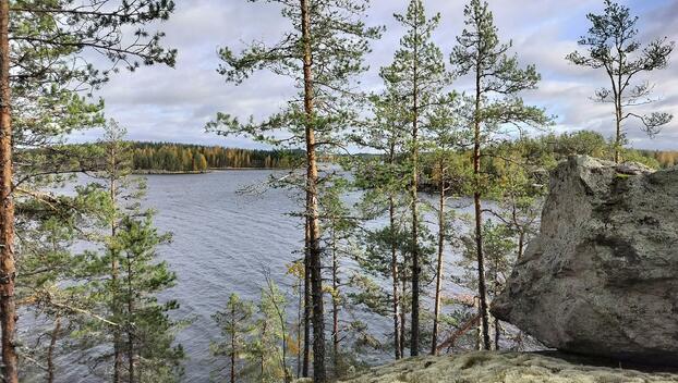 Rauhakiventie tontit 1, 2, 3 ja 6, Ristiina, Mikkeli