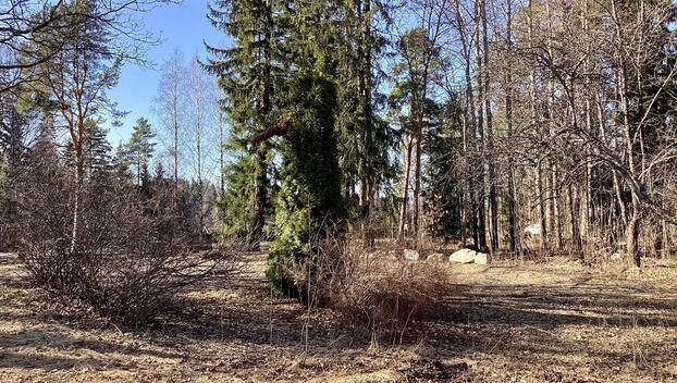 Rantatie 37 D, Rantatie, Tuusula