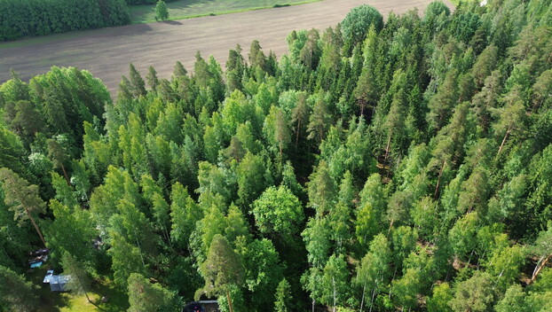 Kirveskoskentie 36, Kirveskoski, Pornainen