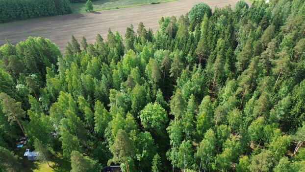 Kirveskoskentie 36, Kirveskoski, Pornainen