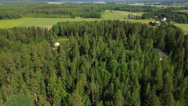 Kirveskoskentie 36, Kirveskoski, Pornainen