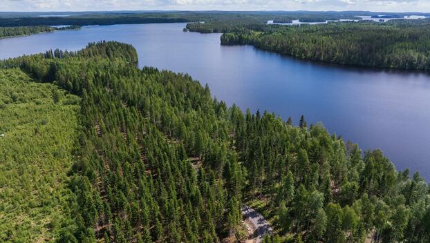 Koivulahdentie 74, Keihärinkoski, Viitasaari