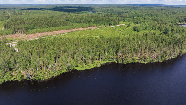 Koivulahdentie 80, Keihärinkoski, Viitasaari