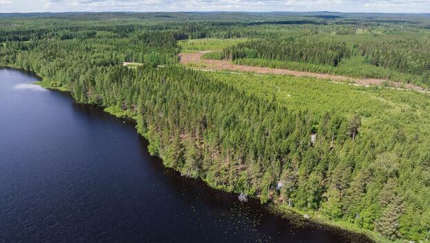 Koivulahdentie 86, Keihärinkoski, Viitasaari