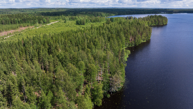 Koivulahdentie 92, Keihärinkoski, Viitasaari