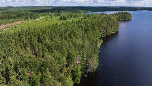 Koivulahdentie 92, Keihärinkoski, Viitasaari
