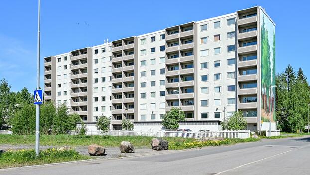 Ruiskukkatie 3, Rajakylä, Oulu