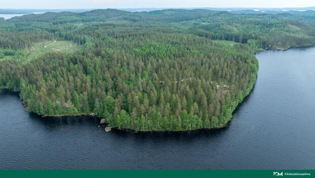 Pihlajasalontie 351, Koikkala, Juva