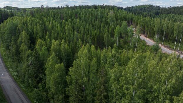Kivelänlammentie 10 A, Vesanka, Jyväskylä