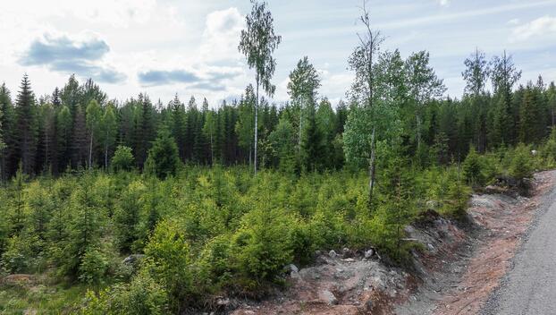 Kivelänlammentie 10 B, Vesanka, Jyväskylä