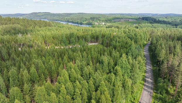 Kivelänlammentie 10 C, Vesanka, Jyväskylä