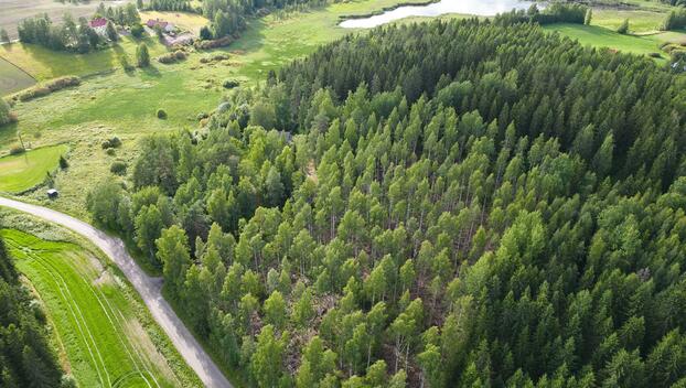 Nuutilanlahdentie 42, Velaatta, Tampere