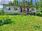 Vienankatu 28, Mertala, Savonlinna