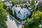 Talo drone