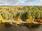 Tervarannantie 33, Maaninka, Kuopio