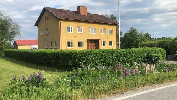 Kopsamontie 138, Kopsamo, Juupajoki