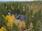 Himoshuipuntie 257-276, Himos, Jämsä