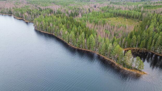 Martinmäentie 521, undefinedKangasniemi