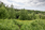 Tervapurontie 240, Toivala, Siilinjärvi