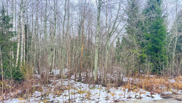 Palomäentie 103, Kurkimäki, Kuopio