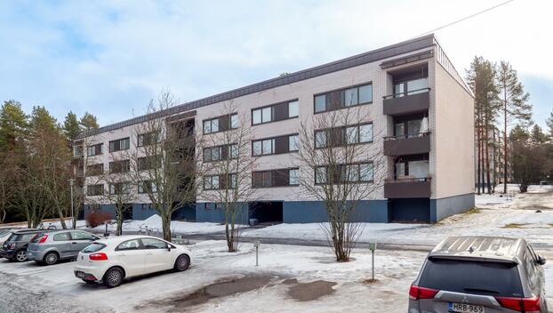 Irmantie 3, Koskela, Oulu