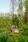 Annilantie 220, Annila, Siuntio