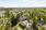 Yläkatu 9, Petonen, Kuopio