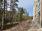 Maisemamaalauksenkatu 10 D 82, Kuninkaantammi, Helsinki
