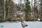 Hirvijärventie 138, Jokioinen, Padasjoki