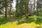 Majaniementie 18, Lievestuore, Laukaa