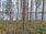 Virransaari -, Tolvanniemi, Savonlinna