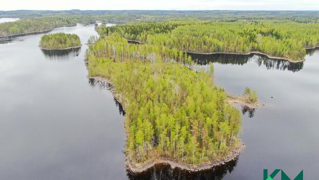 Virransaari -, Tolvanniemi, Savonlinna
