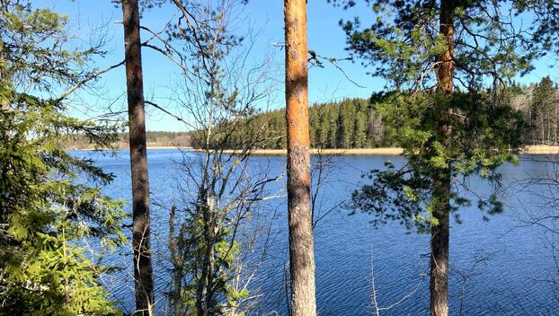 Ratastie 80, undefinedOrivesi