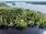 Melavedentie 359, Riistavesi, Kuopio