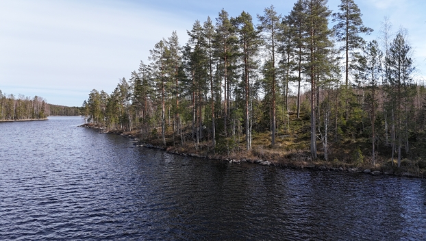 Miehalanniementie 406, Kangaslampi, Varkaus