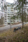 Sammakkolammentie 1, Puijonlaakso, Kuopio