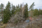 Sammakkolammentie 1, Puijonlaakso, Kuopio