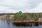 Lahdenranta 10, Hautalahti, Muurame