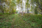 Lumpeisentie 57, Rytky, Kuopio