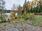 Kesäpirtintie 11, Riistavesi, Kuopio