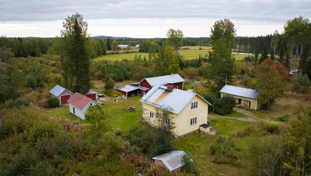Joenmutkantie 48, Kankainen, Toivakka