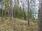 Niemenkyläntie 466 D, Kolho, Mänttä-Vilppula