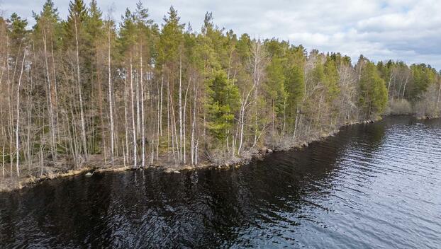 Niemenkyläntie 466 D, Kolho, Mänttä-Vilppula