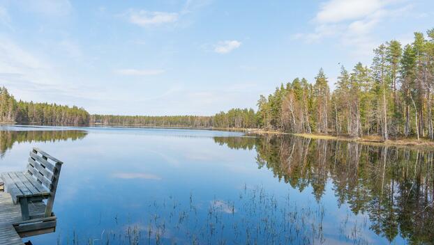 Kolhinsalontie 298, Hallinpenkki, Jämsä
